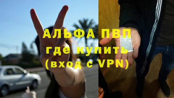прущие грибы Куйбышев