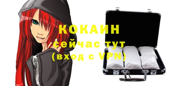 прущие грибы Куйбышев