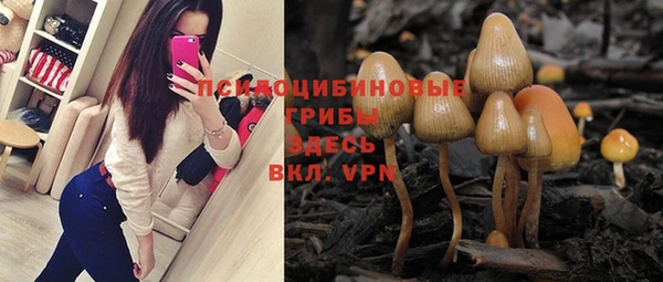 прущие грибы Куйбышев