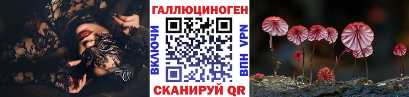 Псилоцибиновые грибы Psilocybine cubensis Хадыженск