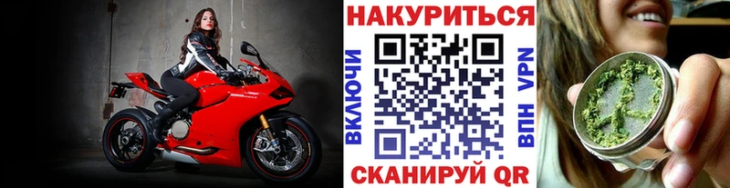 Бошки марихуана Bruce Banner  Хадыженск 